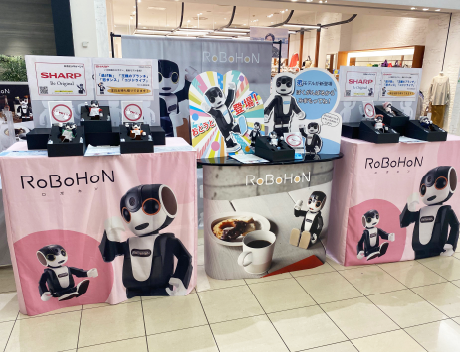 展開イメージ