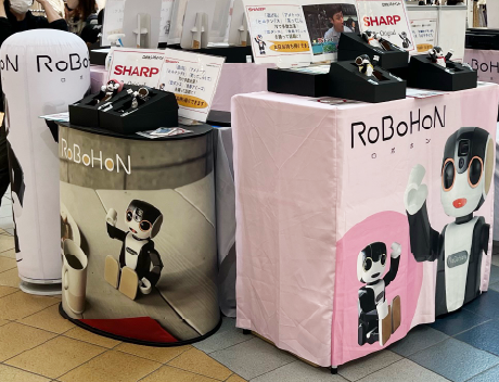 展開イメージ